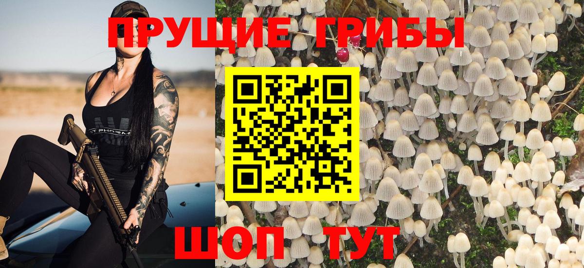 Псилоцибиновые грибы Magic Shrooms  Волгоград  Псилоцибиновые грибы Psilocybe 