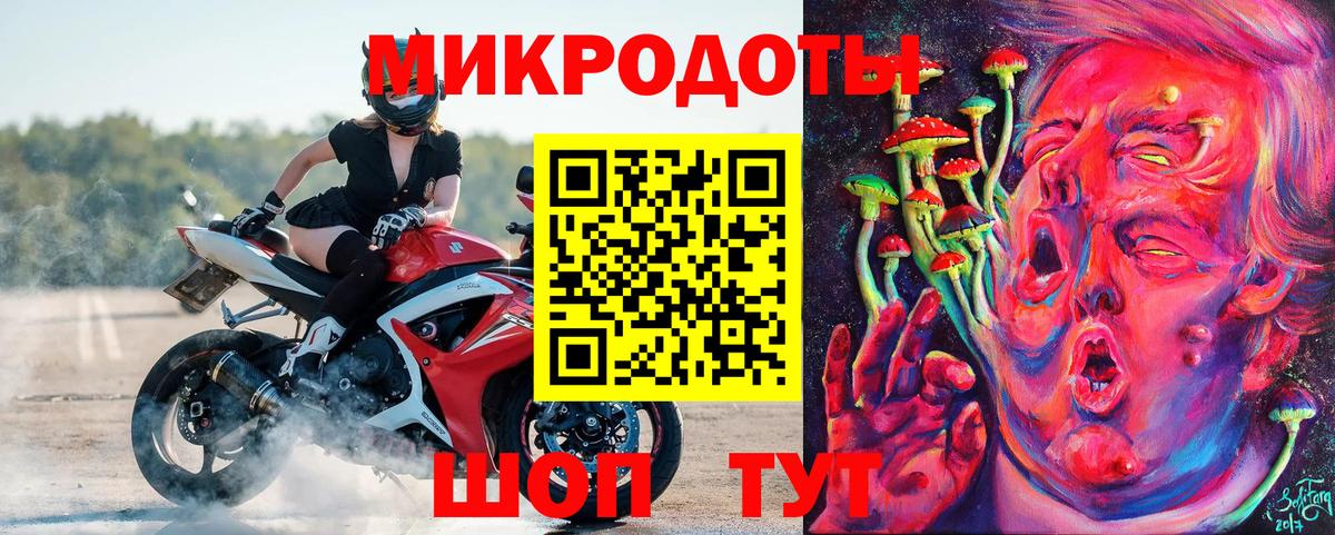 Псилоцибиновые грибы Psilocybine cubensis Волгоград