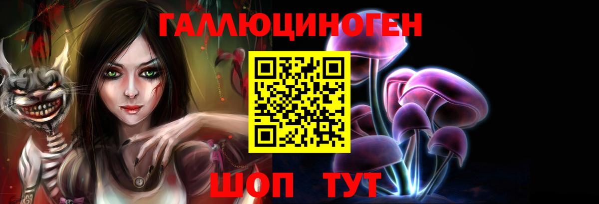 Псилоцибиновые грибы Cubensis  Псилоцибиновые грибы мицелий  Волгоград  Вход с VPN 